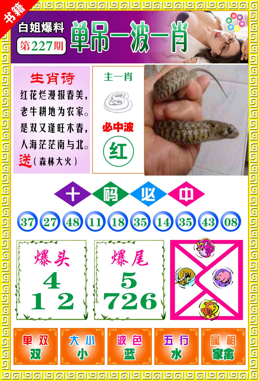 王中王100期期一肖，深度解析與SEO優(yōu)化策略，王中王100期期一肖深度解析與SEO策略全解析