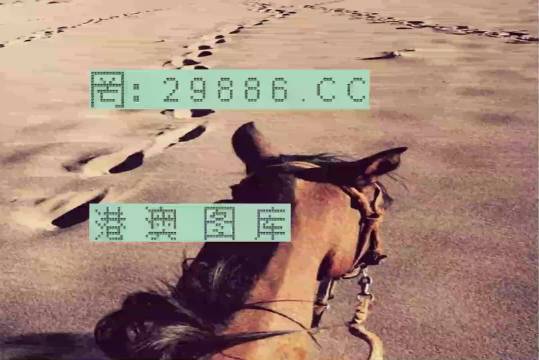 香港特馬資料王中王24期，深度解析與探索，香港特馬資料王中王深度解析與探索，第24期探索之旅