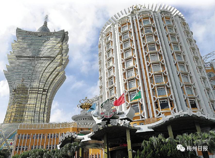 新澳門最精準——探索澳門的精準旅游魅力，澳門精準旅游魅力探索之旅