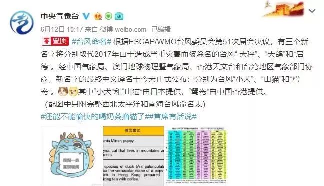 新澳門(mén)必中三肖三碼三期必開(kāi)劉伯，揭秘彩票背后的秘密與策略，揭秘彩票背后的秘密與策略，劉伯的新澳門(mén)三期必開(kāi)三肖三碼預(yù)測(cè)技巧