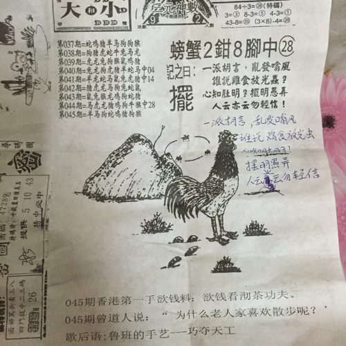 揭秘林中的高手王中王猜一肖的奧秘，揭秘林中之王王中王與生肖奧秘探秘