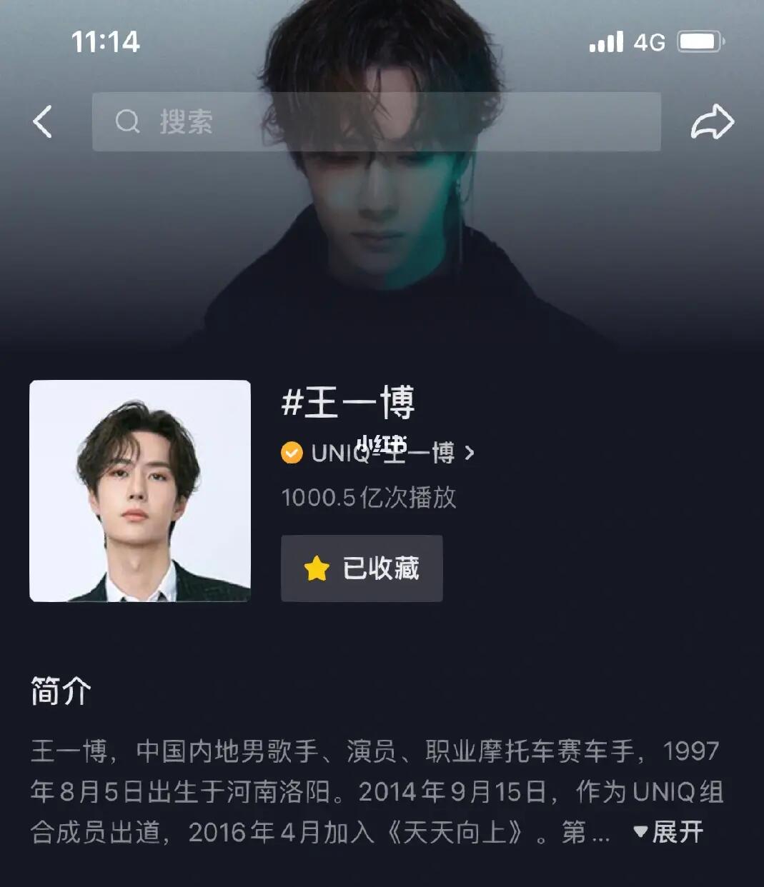 王中王一肖內(nèi)部資料詳解，王中王一肖內(nèi)部資料深度解析