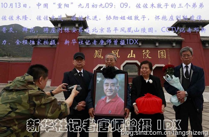 王中王必選一肖，揭秘背后的秘密與策略，揭秘王中王必選一肖背后的秘密策略