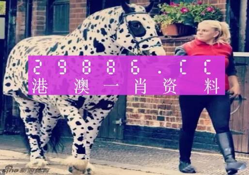 香港網(wǎng)址王中王一肖中特，探索與解析，香港網(wǎng)址王中王一肖中特，深度探索與解析