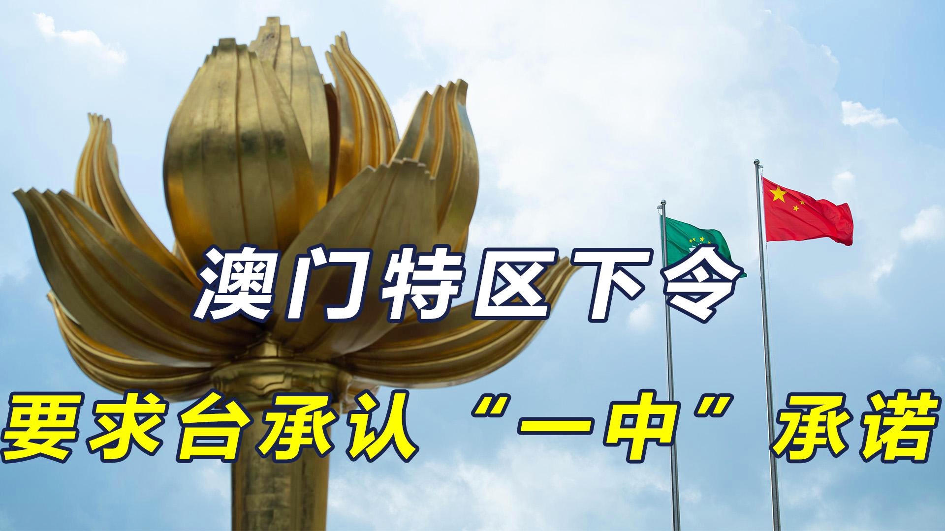 新澳門一碼一肖一特一中準選今晚之秘與博彩文化深度解析，澳門博彩文化深度解析，今晚一碼一肖一特一中準選的秘密