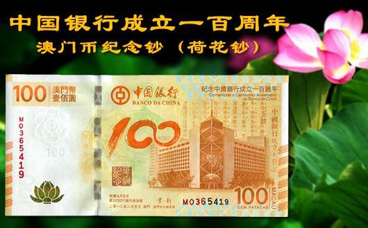 新澳門掛牌正版掛牌完整掛牌，探索與解析，澳門正版掛牌詳解，探索完整流程與解析