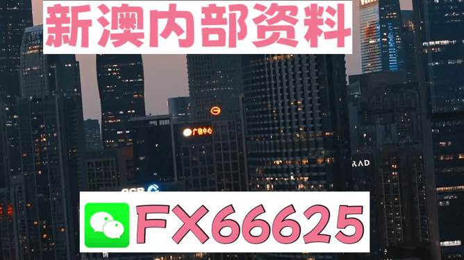 澳門跑狗，探索與解析，澳門跑狗，探索與解析之道
