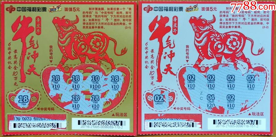 王中王19期指一生肖——探尋背后的奧秘與意義，王中王19期指一生肖，背后的奧秘與意義探尋
