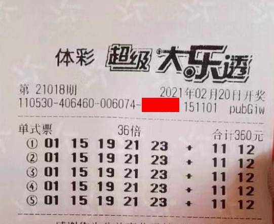 王中王018期指一生肖，揭秘背后的奧秘與意義，揭秘生肖奧秘，王中王生肖背后的意義與秘密