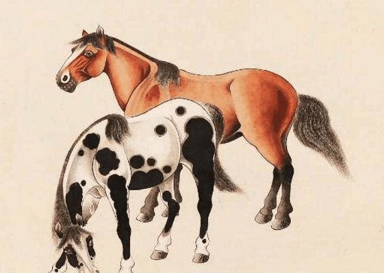 馬一王中王特平一肖圖，深度解析與SEO優(yōu)化策略，深度解析馬一王中王特平肖圖，SEO優(yōu)化策略探討