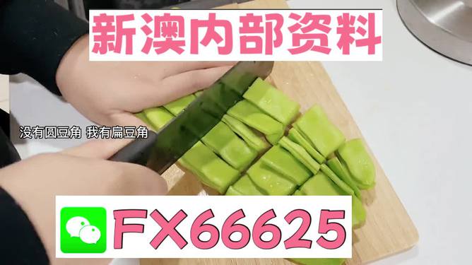 新澳精選資料免費提供