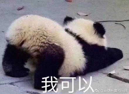 澳門四不像正版四不像網(wǎng)，探索真實(shí)與虛幻的交融之地，澳門四不像正版探索，真實(shí)與虛幻的交融世界