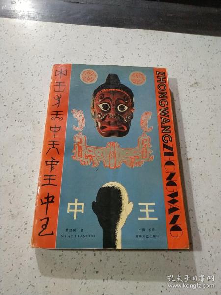 王中王資料與肖中特，深度解析，王中王資料與肖中特深度剖析