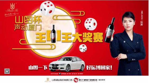 揭秘王中王背后的故事，從肖中的視角看其在SEO領(lǐng)域的輝煌成就，肖中視角下的王中王，SEO領(lǐng)域的輝煌成就揭秘