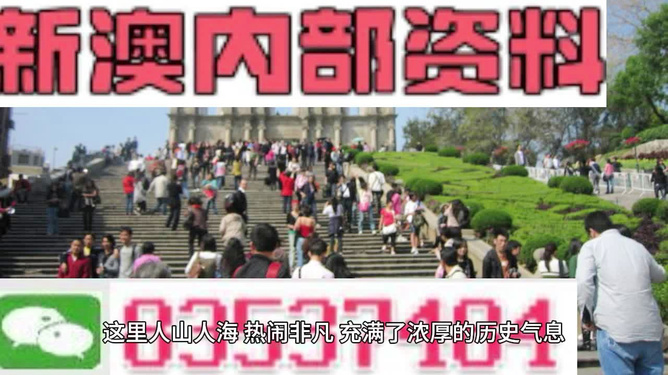 澳門最精準免費資料大全旅游團，探索澳門之旅的完美選擇，澳門最精準免費資料大全旅游團，探索澳門之旅的不二之選