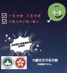 揭秘香港王中王，探尋肖中特背后的秘密，揭秘香港王中王背后的秘密與肖中特真相探索