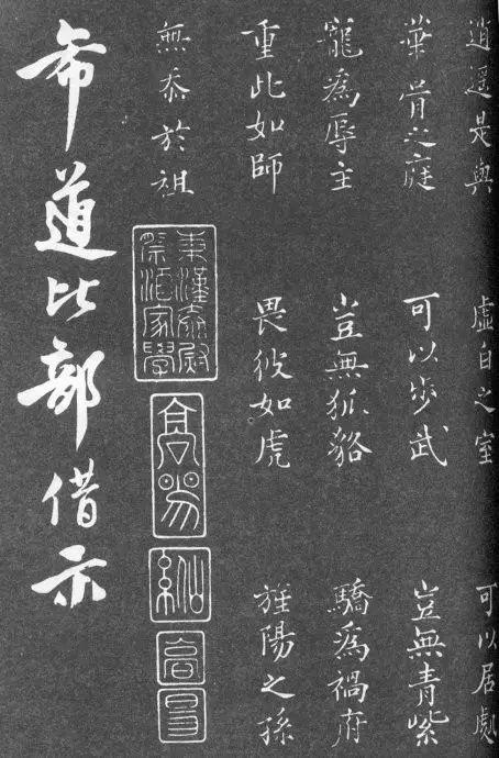 一肖二碼中特的意思解析，一肖二碼中特的意思深度解析