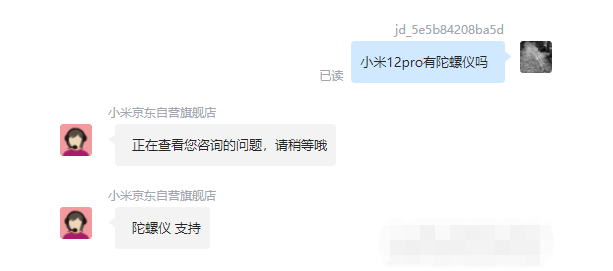 王中王一肖碼，探索關(guān)鍵詞背后的奧秘，王中王一肖碼，揭秘關(guān)鍵詞背后的奧秘
