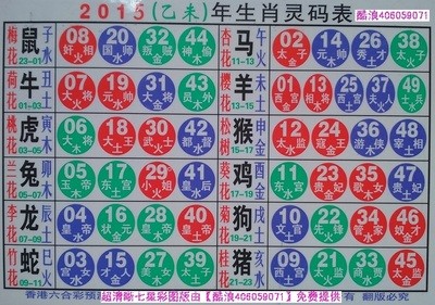 揭秘2025十二生肖與數(shù)字彩票的神奇聯(lián)系——49碼表全解析，揭秘十二生肖與數(shù)字彩票的神秘聯(lián)系，2025年49碼表深度解析