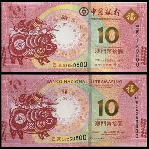 澳門天天彩期期精準十二生肖預測——揭秘彩票背后的秘密，澳門天天彩期期精準十二生肖預測，彩票背后的秘密大揭秘
