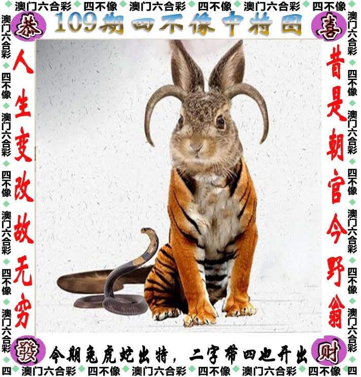 四不像王中王資料一肖，深度解析與探索，四不像王中王資料一肖，深度解析與探索揭秘