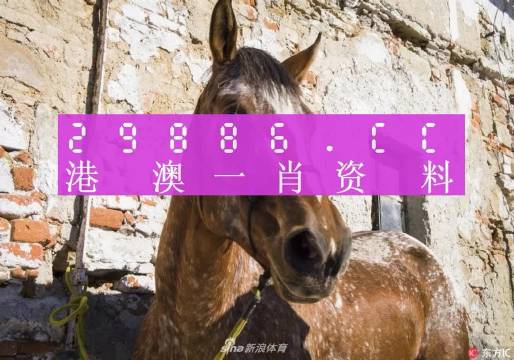 王中王資料一門肖中，深度解析與探索，王中王資料一門肖詳解，深度解析與探索