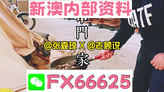 新澳門精準資料大全，管家婆料解析與探索，澳門精準資料大全，管家婆料解析與深度探索