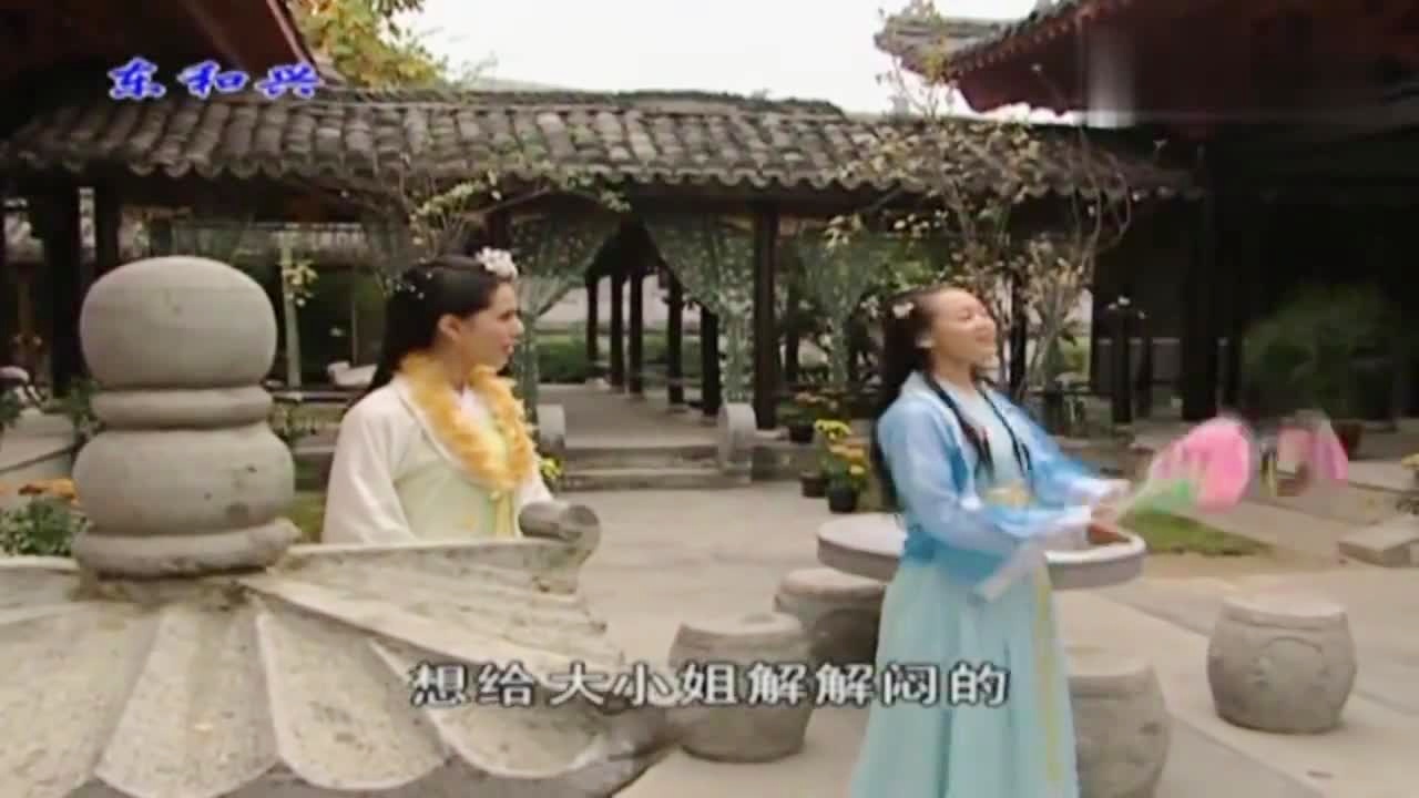 劉伯溫白小姐一肖期期準(zhǔn)，神秘預(yù)測(cè)背后的真相，劉伯溫白小姐生肖預(yù)測(cè)揭秘，神秘預(yù)測(cè)背后的真相