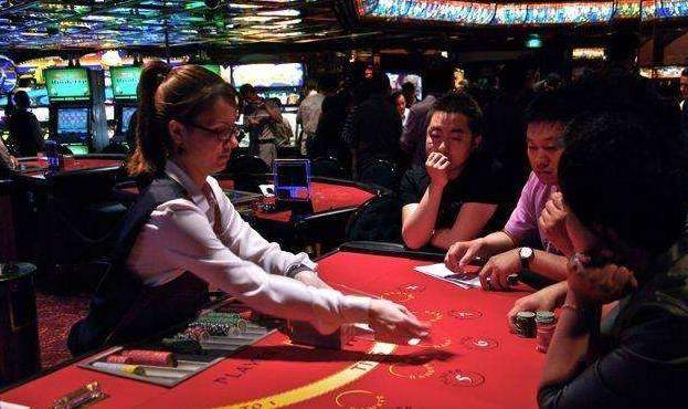 澳門金牛王中王一肖，探索背后的神秘與魅力，澳門金牛王中王一肖，神秘魅力背后的探索