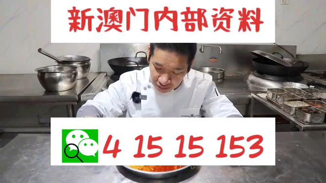 管家婆一肖資料大全，深度解析與探索，管家婆一肖資料深度解析與探索大全