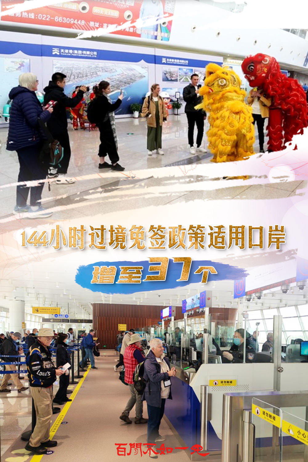 揭秘王中王一碼一肖一特一中，背后的秘密與玄機，揭秘王中王一碼一肖一特一中，背后的秘密與玄機揭秘真相