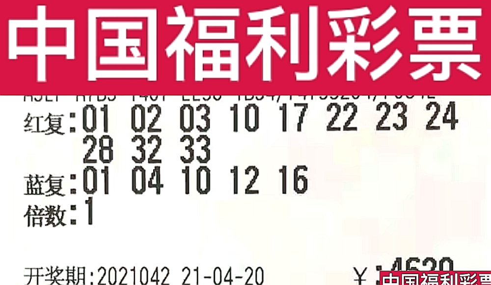 新奧門今晚開獎(jiǎng)結(jié)果查詢第243期，全面解析與預(yù)測，新奧門第243期開獎(jiǎng)結(jié)果解析與預(yù)測，今晚開獎(jiǎng)揭秘