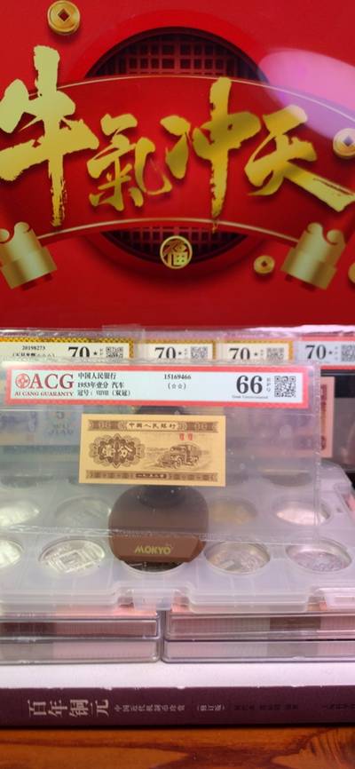 王中王一字一句拆一肖，深度解析背后的奧秘，王中王拆字揭秘，探尋背后奧秘揭曉生肖之謎