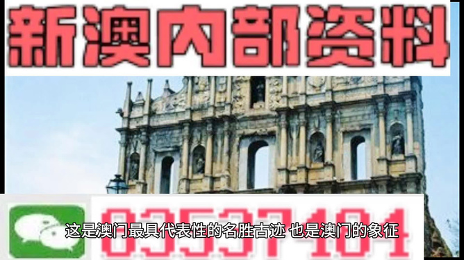 新澳門正版資料，探索與解析，澳門正版資料深度解析與探索