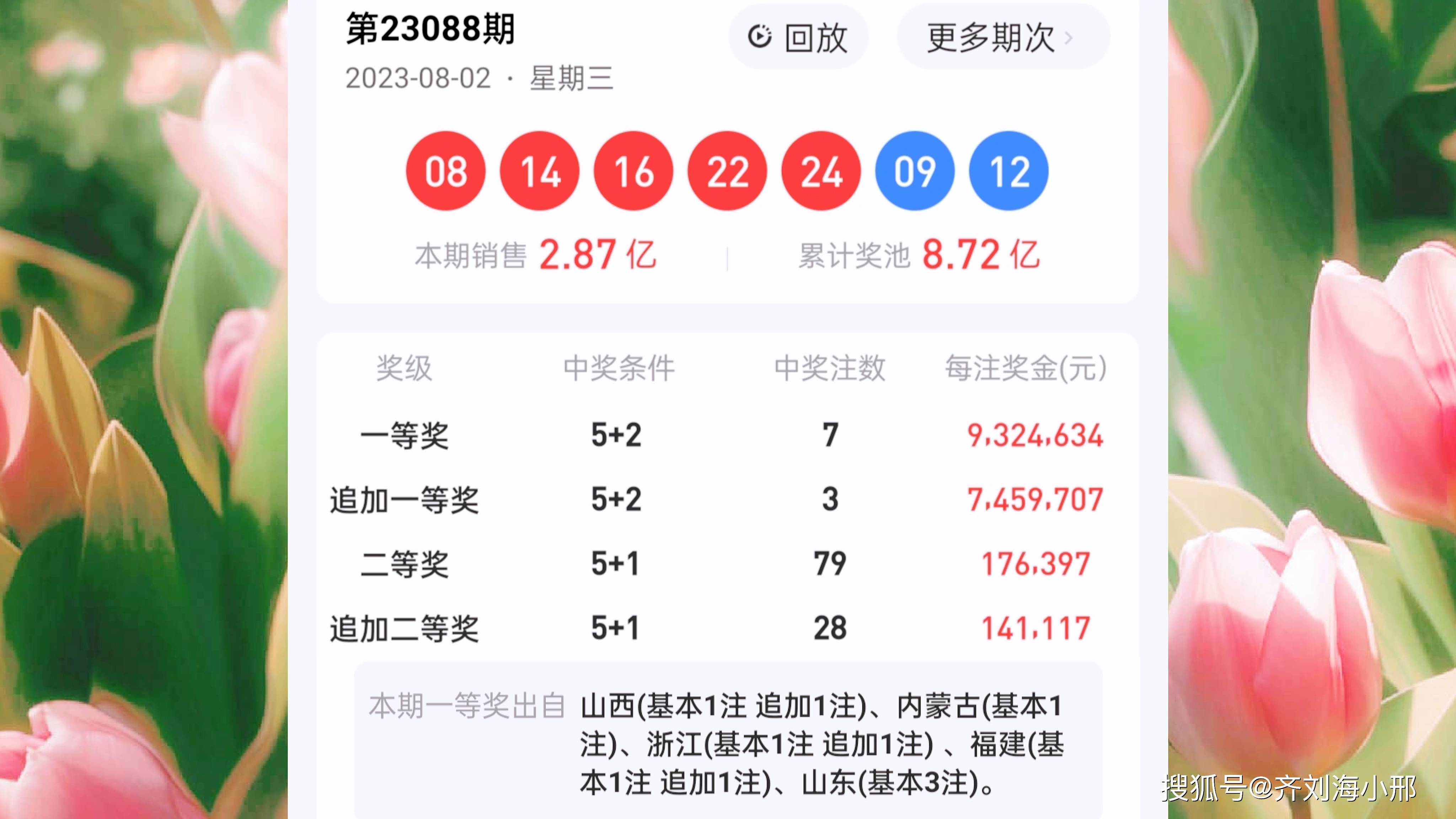 最新開獎結(jié)果揭曉，王中王與一肖中的幸運時刻，王中王與一肖中幸運時刻揭曉，最新開獎結(jié)果出爐