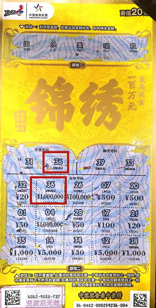 王中王六肖一碼期期中的奧秘與探索，王中王六肖一碼期奧秘揭秘與探索