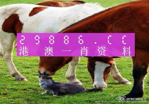新奧門一肖一碼，揭秘精準(zhǔn)預(yù)測的秘密，揭秘新澳門一肖一碼精準(zhǔn)預(yù)測的秘密