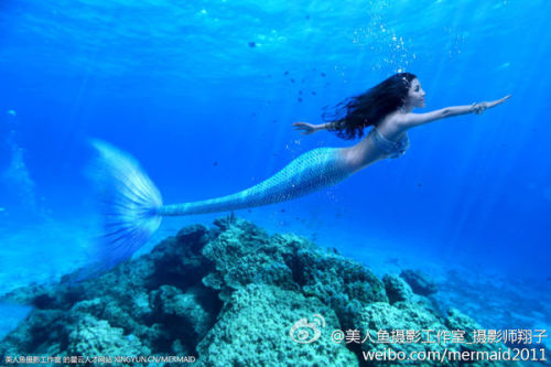 澳門美人魚(yú)最快開(kāi)獎(jiǎng)結(jié)果圖——揭秘?zé)衢T彩票游戲背后的秘密，澳門美人魚(yú)彩票開(kāi)獎(jiǎng)揭秘，最新結(jié)果圖與游戲背后秘密探索
