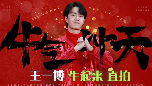 探尋王中王，揭秘發(fā)個王中王一肖中特背后的奧秘，揭秘王中王，探尋發(fā)個王中王一肖中特背后的神秘奧秘