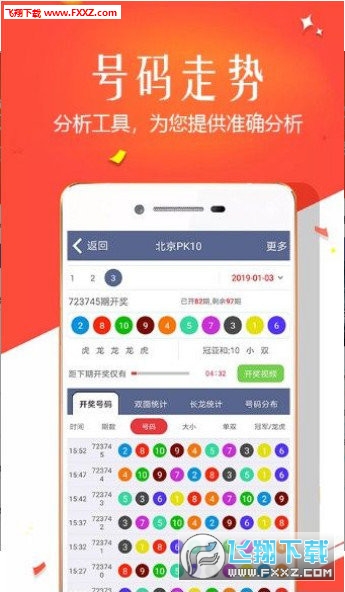 王中王四肖選一，揭秘選擇與優(yōu)化策略，王中王四肖選一，選擇與優(yōu)化策略的揭秘