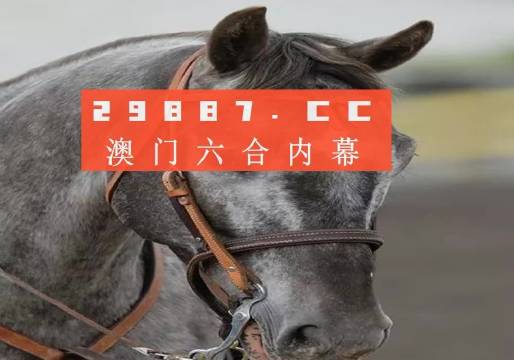 澳門(mén)一一碼一特一中準(zhǔn)選今晚，探索真實(shí)有效的選擇與策略，澳門(mén)今晚一特一中準(zhǔn)選碼，真實(shí)有效的選擇與策略探索