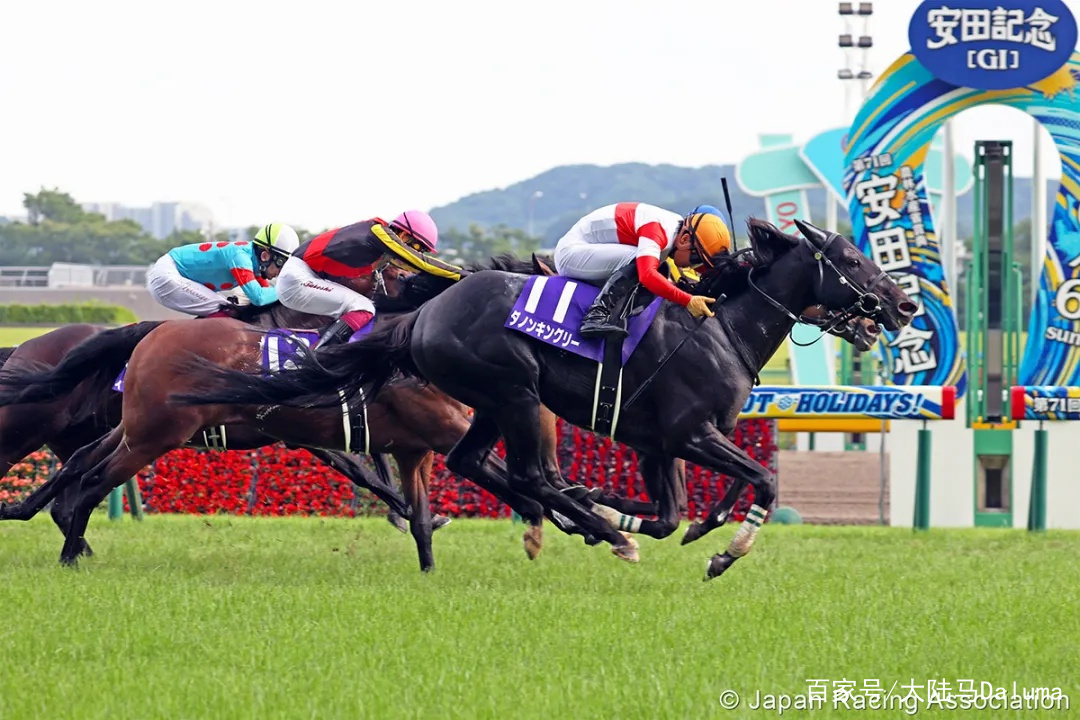 香港王中王與一馬中特肖的獨特魅力，深度解析與探索，香港王中王與一馬中特肖的獨特魅力，深度探索與解析