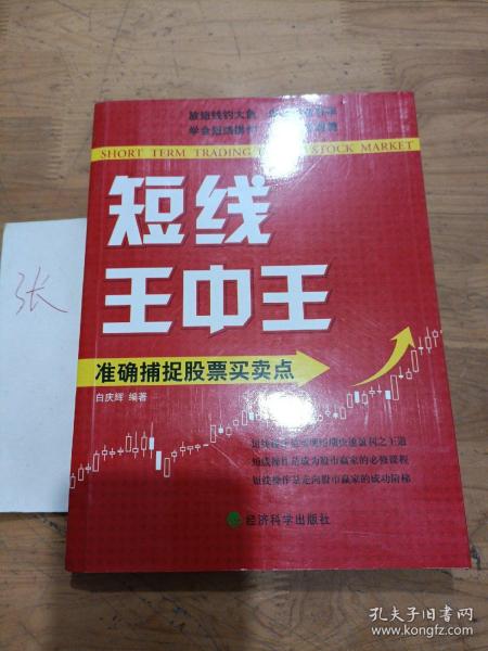 王中王平特一肖秀家網(wǎng)，深度解析與SEO優(yōu)化策略，王中王平特一肖秀家網(wǎng)，深度解析與SEO優(yōu)化策略指南