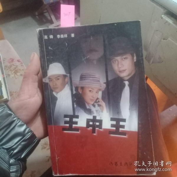 王中王資料一肖中天，深度解析與探索，王中王資料一肖中天，深度剖析與探索