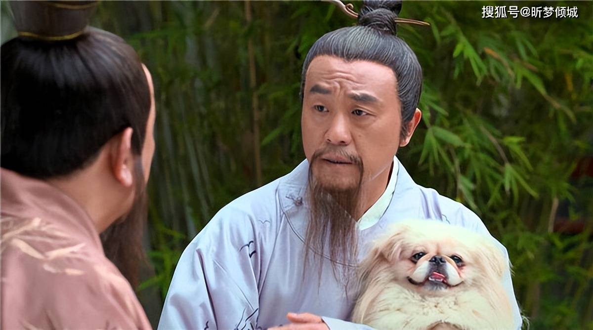 揭秘劉伯溫四不象一肖的神秘面紗——探尋背后的傳奇故事，揭秘劉伯溫四不象一肖背后的傳奇故事，神秘面紗下的神秘傳說