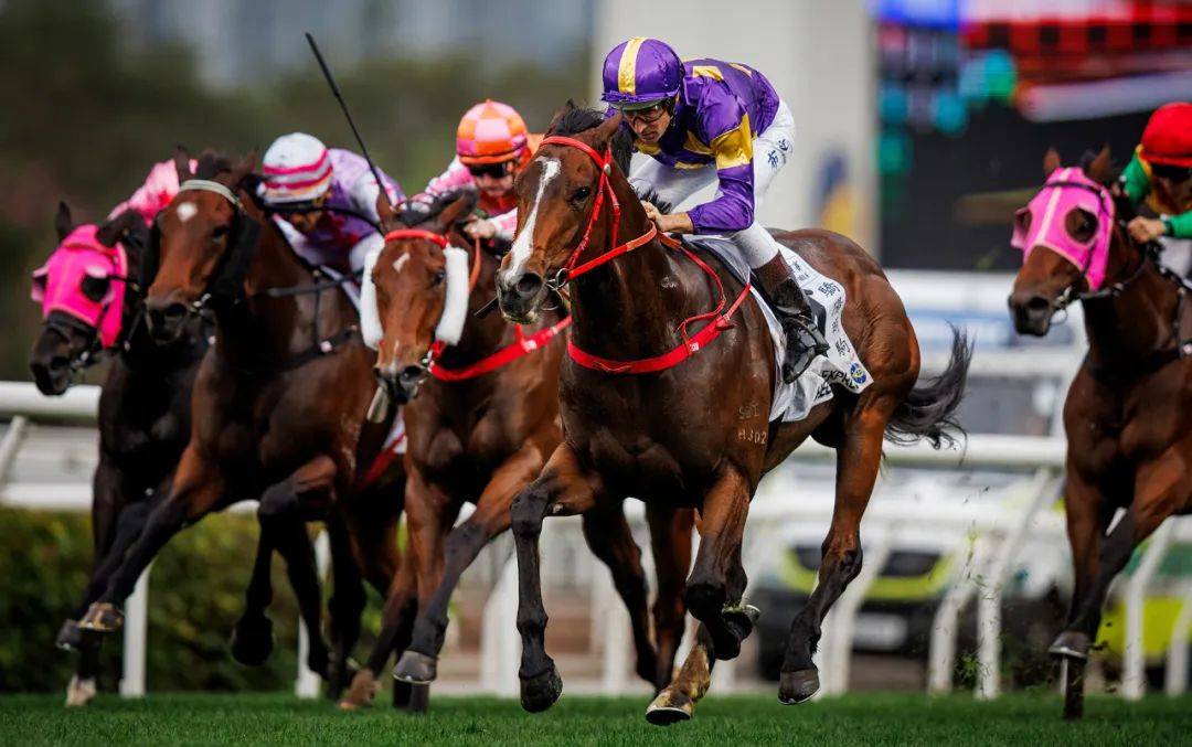 香港賽馬，探索賽馬運(yùn)動(dòng)的激情與榮耀之地——7777788888的獨(dú)特魅力，香港賽馬，激情與榮耀的獨(dú)特魅力探索——777778賽馬運(yùn)動(dòng)之地