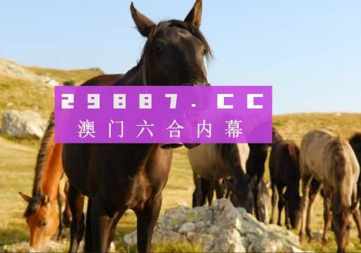 澳門管家婆一肖一碼一中一，揭秘與解析，澳門管家婆一肖一碼揭秘與解析