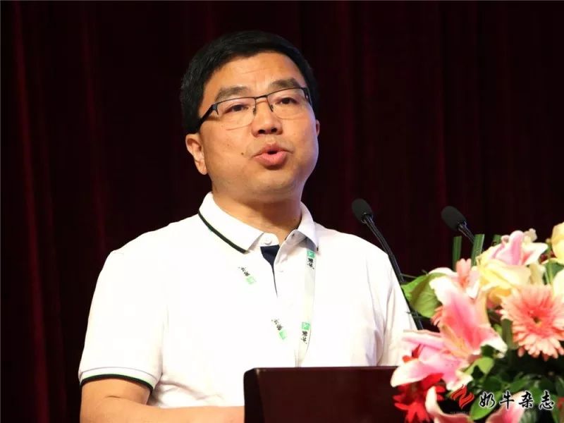 王中王一平特肖，揭秘第100期的秘密與策略，揭秘第100期秘密與策略，王中王一平特肖獨家解析