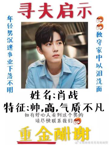 一肖一碼一一肖一子善，探尋命運(yùn)密碼與智慧之光的完美結(jié)合，命運(yùn)密碼與智慧之光，一肖一碼一一肖一子善的探尋