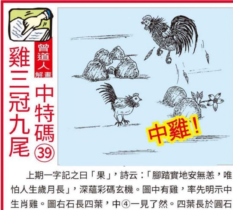 澳門2025全年資料大全正版資料權(quán)威指南，澳門2025全年正版權(quán)威指南，全面資料大全與權(quán)威解讀